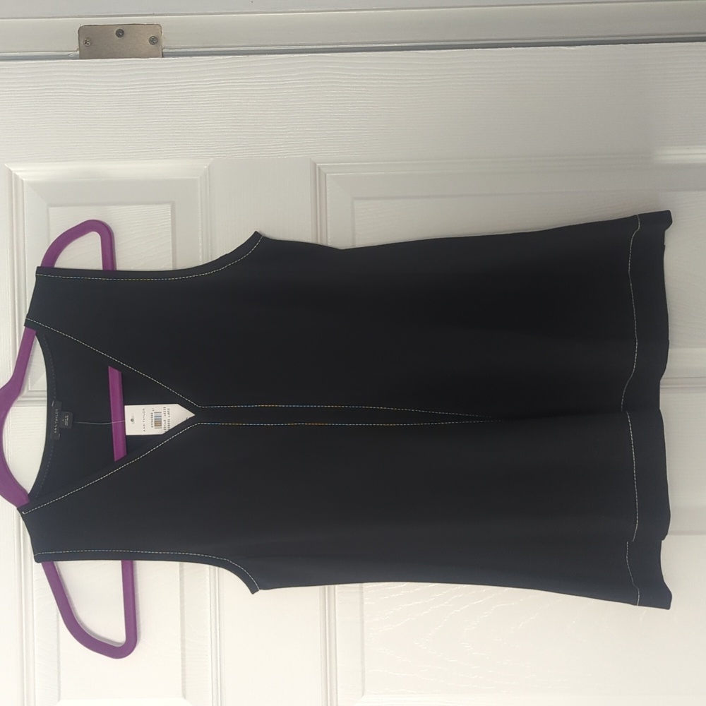 Ann Taylor fitted with a slight flare sleeveless NWT
